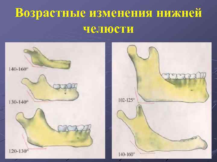 Возрастные изменения зубов презентация