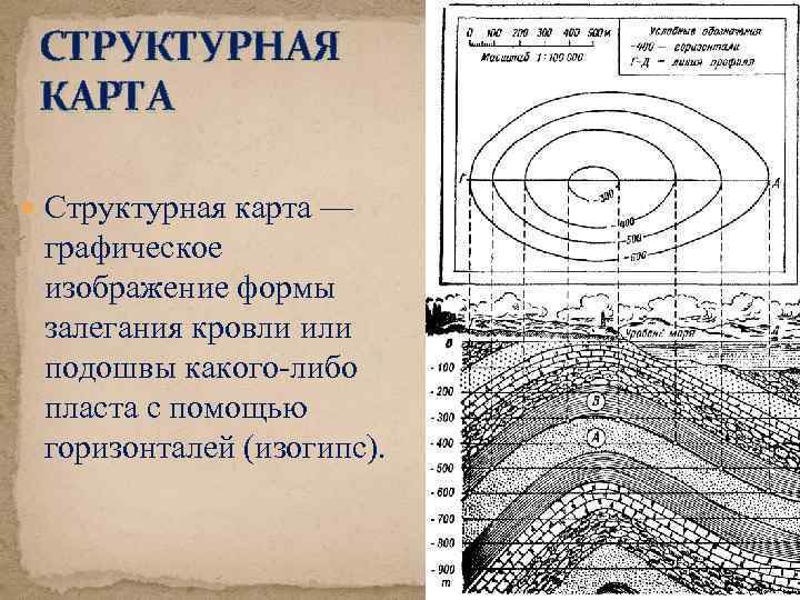 СТРУКТУРНАЯ КАРТА Структурная карта — графическое изображение формы залегания кровли или подошвы какого-либо пласта