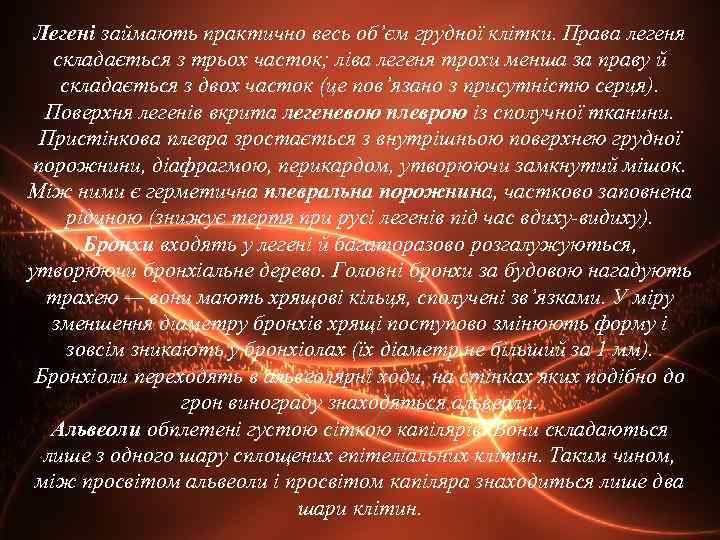 Легені займають практично весь об’єм грудної клітки. Права легеня складається з трьох часток; ліва