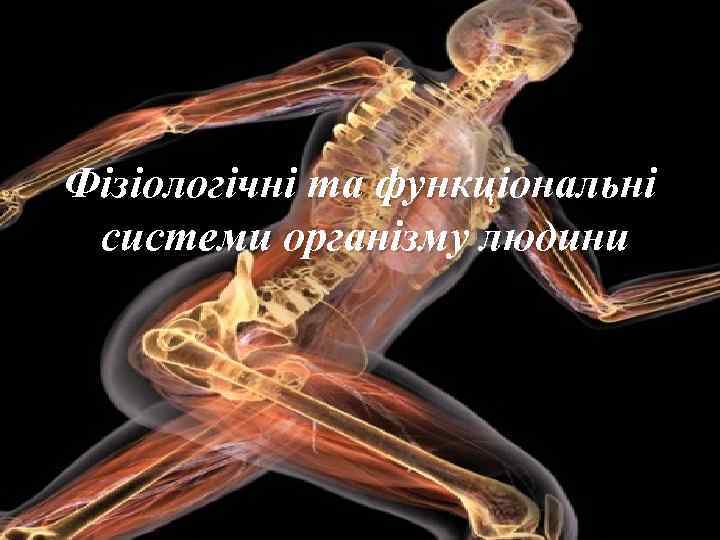 Фізіологічні та функціональні системи організму людини 
