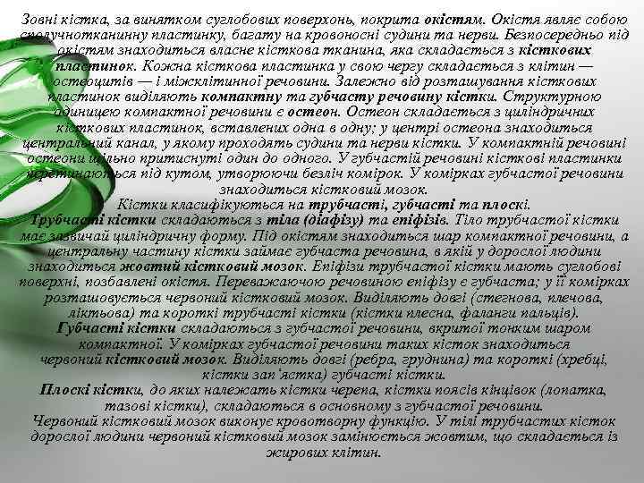 Зовні кістка, за винятком суглобових поверхонь, покрита окістям. Окістя являє собою сполучнотканинну пластинку, багату