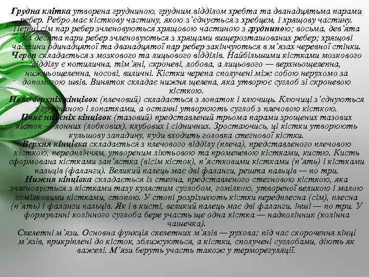 Грудна клітка утворена грудниною, грудним відділом хребта та дванадцятьма парами ребер. Ребро має кісткову