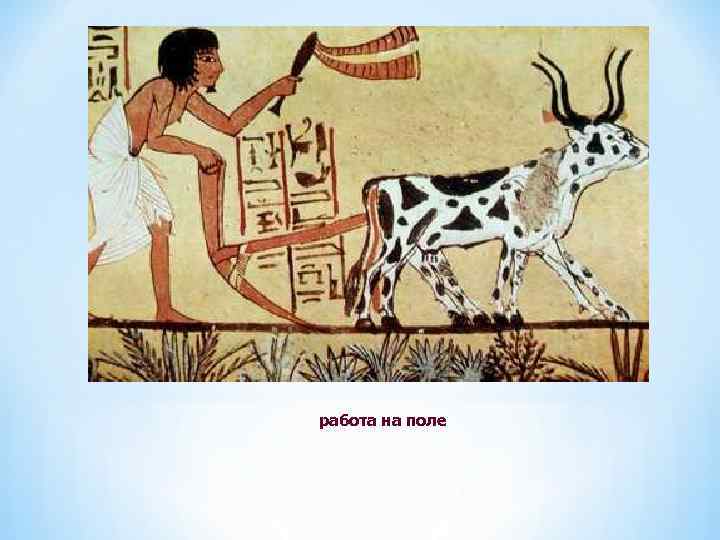 работа на поле 