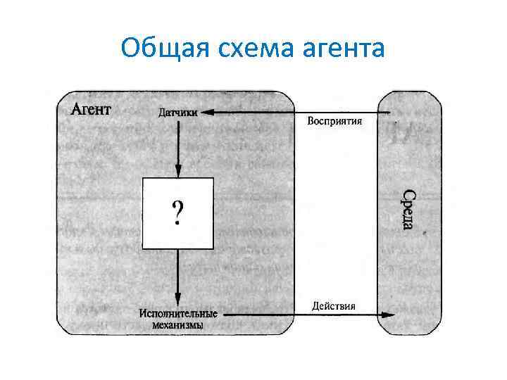 Приложение агентская схема