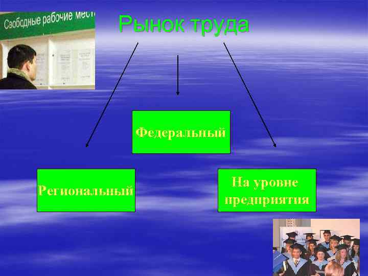 Рынок труда Федеральный Региональный На уровне предприятия 