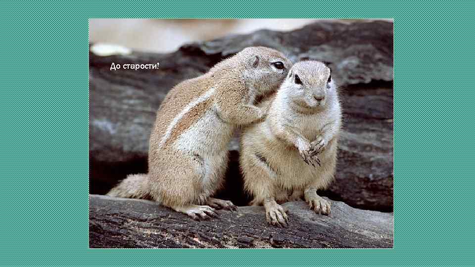 До старости! 