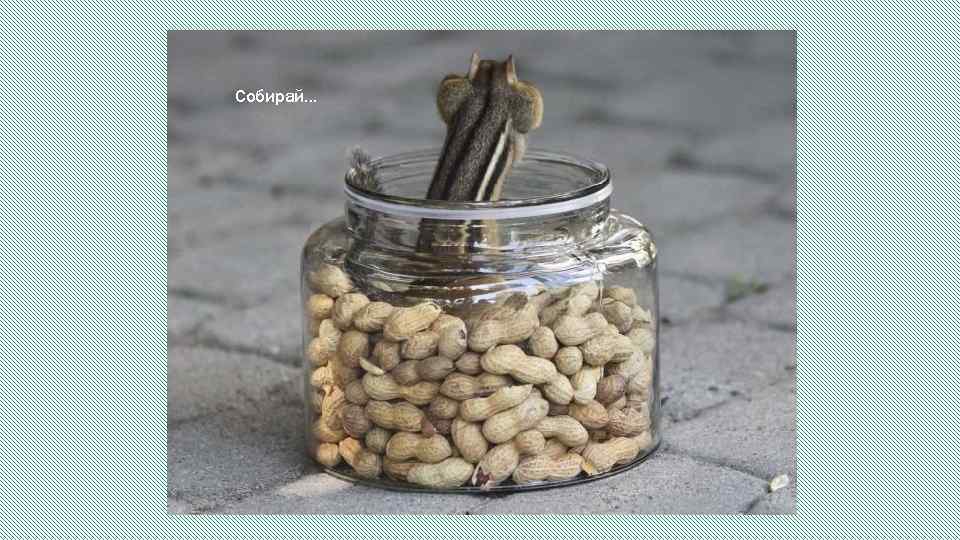 Собирай… 