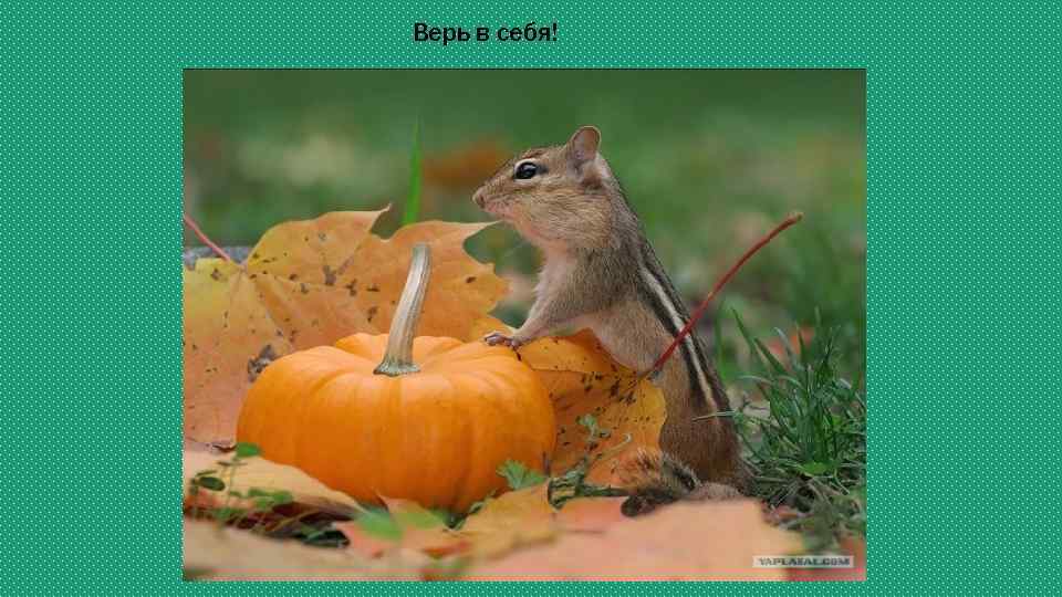 Верь в себя! 
