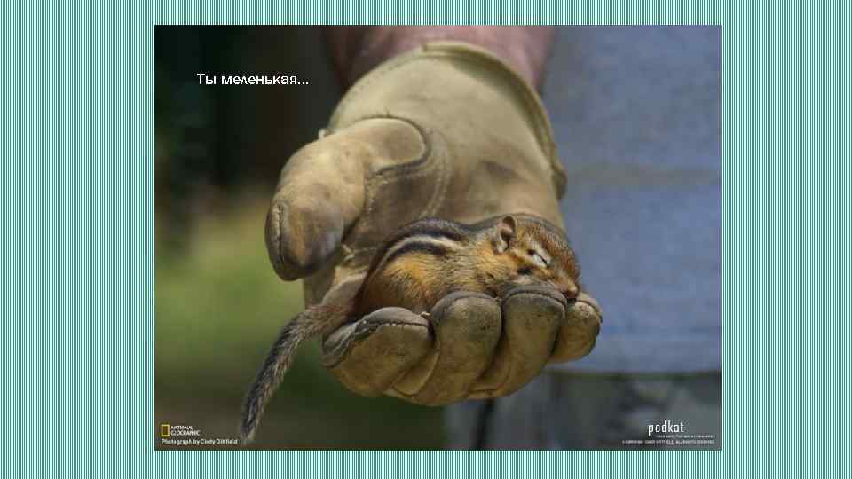 Ты меленькая… 