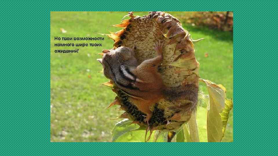 Но твои возможности намного шире твоих ожиданий! 