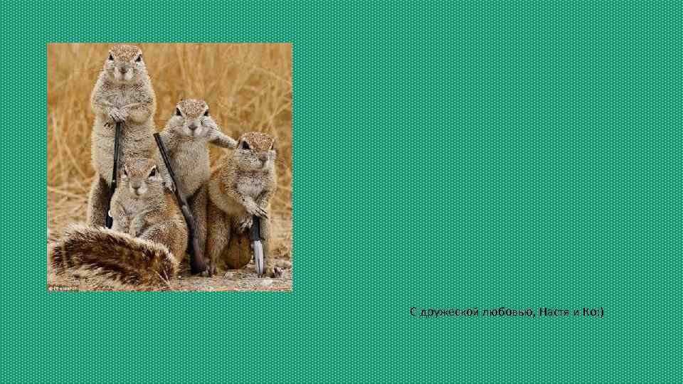 С дружеской любовью, Настя и Ко: ) 