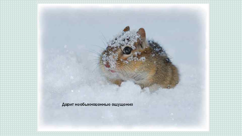 Дарит необыкновенные ощущения 