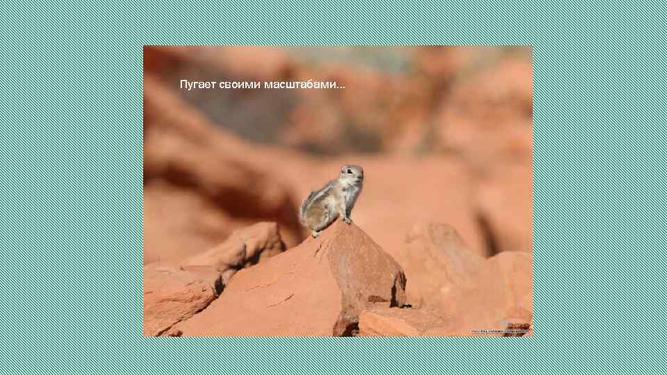 Пугает своими масштабами… 