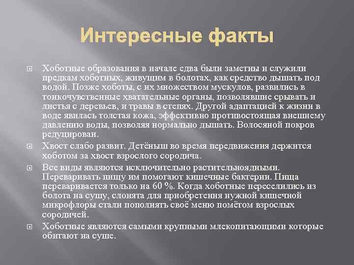 Интересные факты Хоботные образования в начале едва были заметны и служили предкам хоботных, живущим