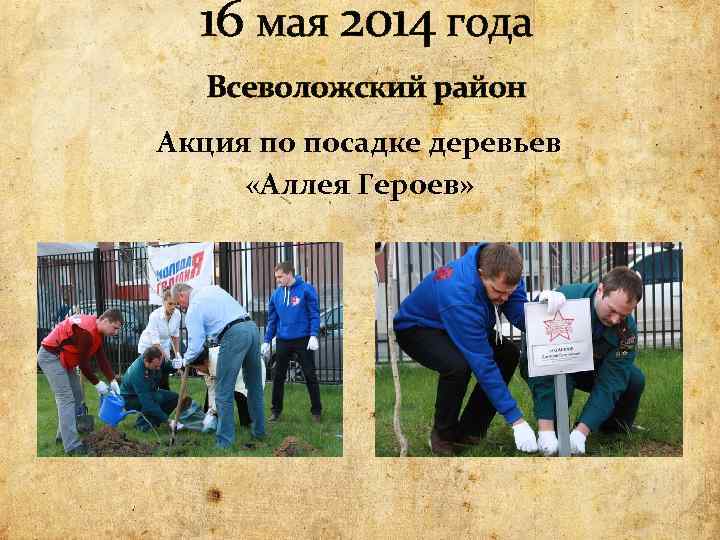 16 мая 2014 года Всеволожский район Акция по посадке деревьев «Аллея Героев» 