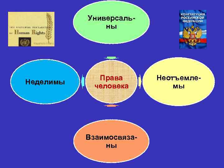 Универсаль ны Неделимы Права человека Взаимосвяза ны Неотъемле мы 