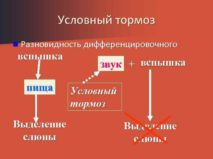 Условный тормоз n Разновидность дифференцировочного вспышка пища Выделение слюны звук + вспышка Условный тормоз