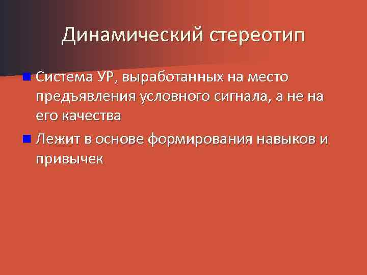 Динамический стереотип презентация