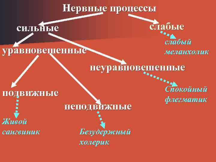 Нервные процессы слабые сильные слабый меланхолик уравновешенные неуравновешенные подвижные неподвижные Живой сангвиник Безудержный холерик