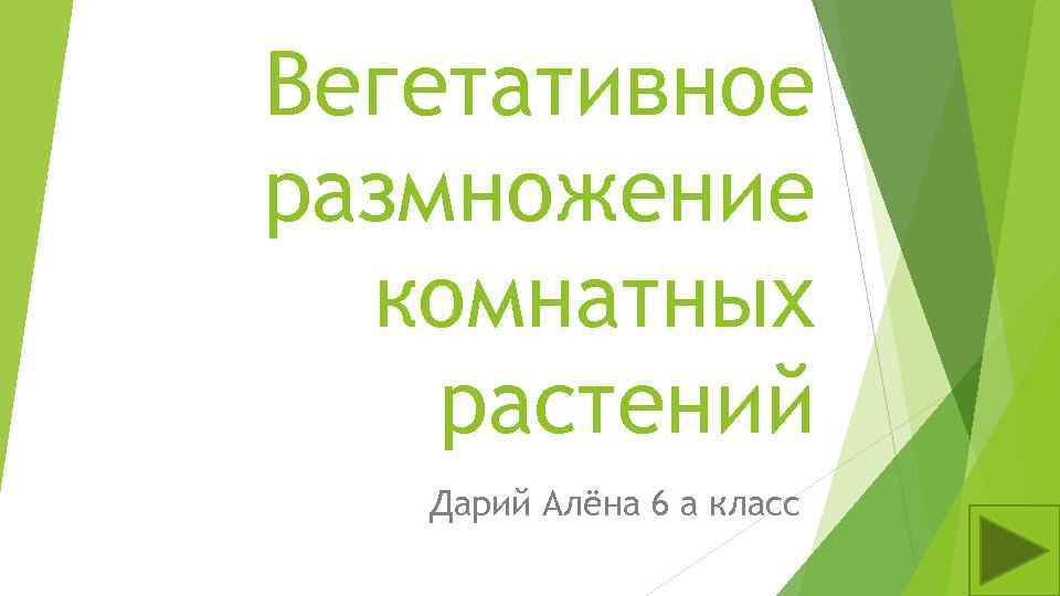 Вегетативное размножение комнатных растений Дарий Алёна 6 а класс 