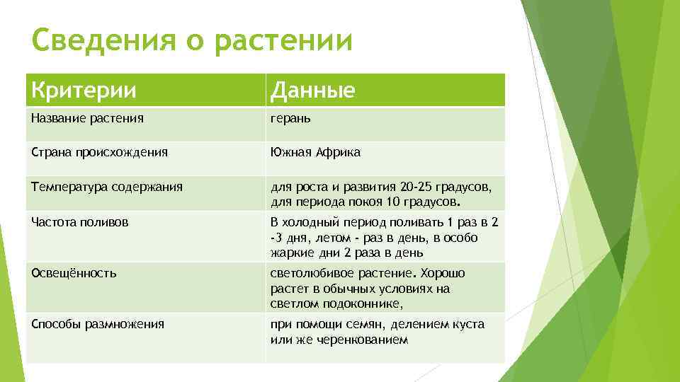 Критерии растение. Таблица комнатное растение Страна происхождения. Критерии и данные растения. Название растение Страна происхождения температура содержания. Период покоя комнатных цветов таблица.