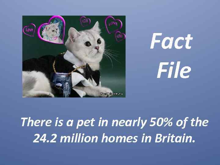 Fact File There is a pet in nearly 50% of the 24. 2 million