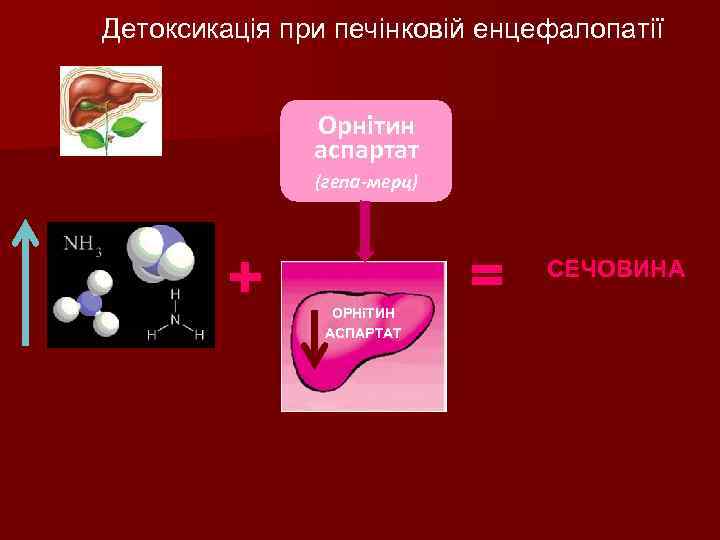 Детоксикація при печінковій енцефалопатії Орнітин аспартат (гепа-мерц) + ОРНіТИН АСПАРТАТ = СЕЧОВИНА 