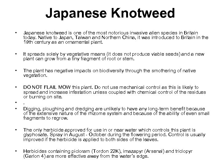 Japanese Knotweed • Japanese knotweed is one of the most notorious invasive alien species