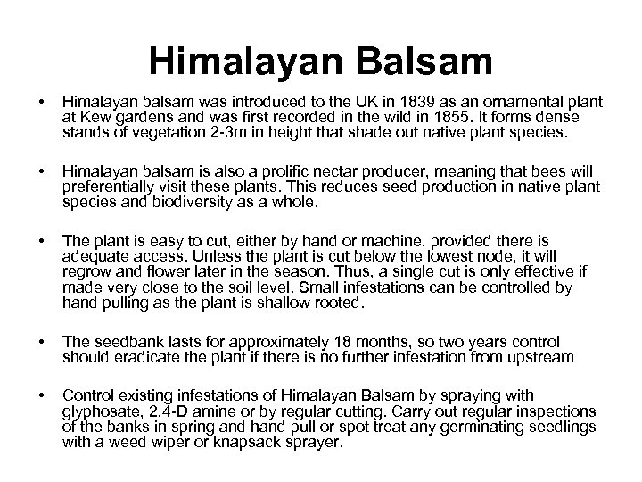 Himalayan Balsam • Himalayan balsam was introduced to the UK in 1839 as an