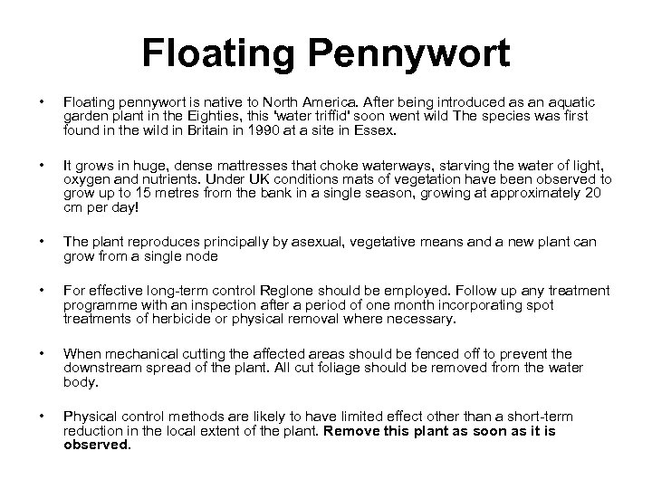 Floating Pennywort • Floating pennywort is native to North America. After being introduced as
