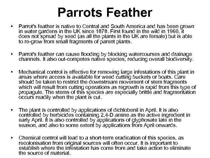 Parrots Feather • Parrot's feather is native to Central and South America and has