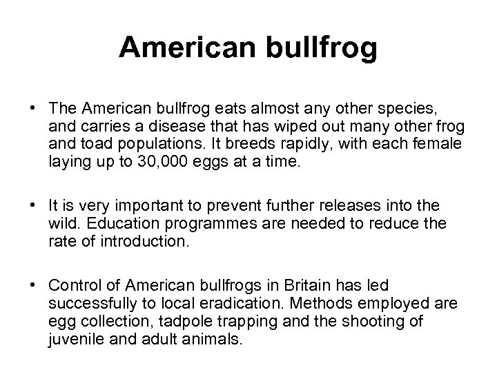 American bullfrog • The American bullfrog eats almost any other species, and carries a