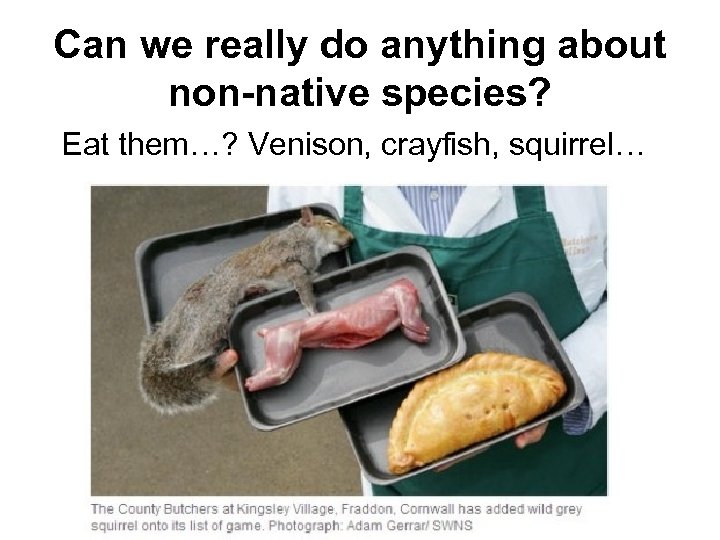 Can we really do anything about non-native species? Eat them…? Venison, crayfish, squirrel… 