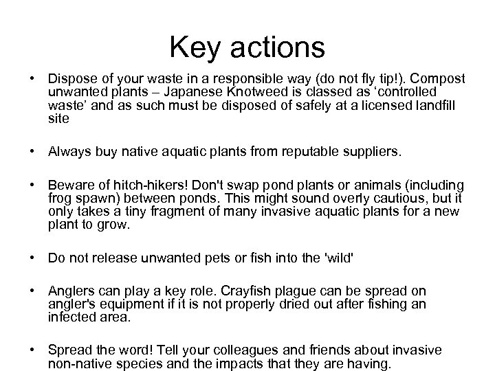 Key actions • Dispose of your waste in a responsible way (do not fly