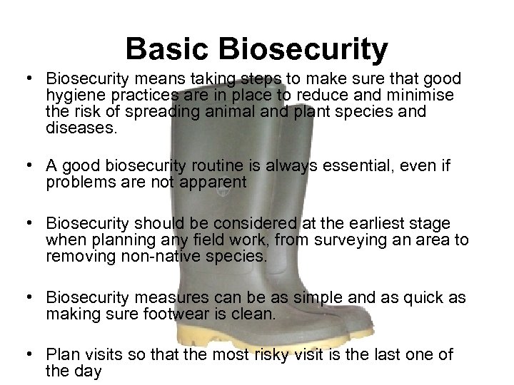 Basic Biosecurity • Biosecurity means taking steps to make sure that good hygiene practices
