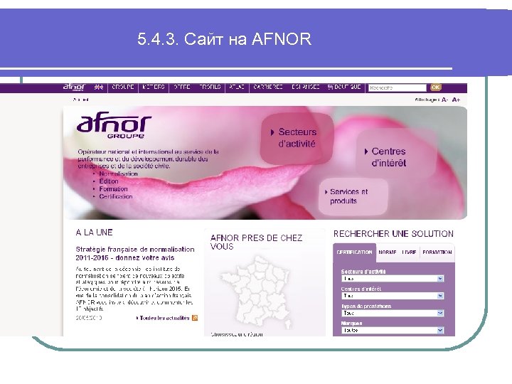 5. 4. 3. Сайт на AFNOR 
