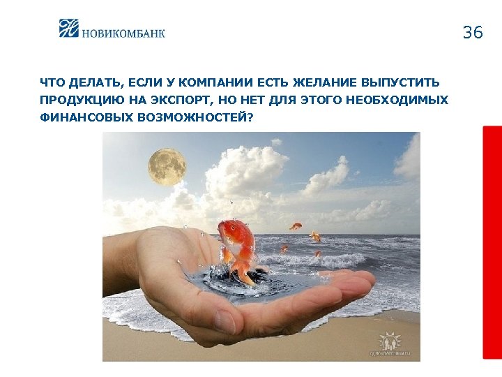 36 ЧТО ДЕЛАТЬ, ЕСЛИ У КОМПАНИИ ЕСТЬ ЖЕЛАНИЕ ВЫПУСТИТЬ ПРОДУКЦИЮ НА ЭКСПОРТ, НО НЕТ