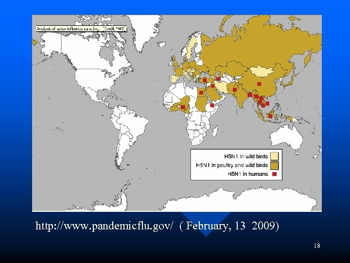  http: //www. pandemicflu. gov/ ( February, 13 2009) 18 