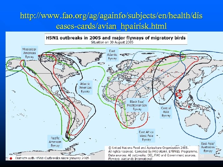 http: //www. fao. org/ag/againfo/subjects/en/health/dis eases-cards/avian_hpairisk. html 20 