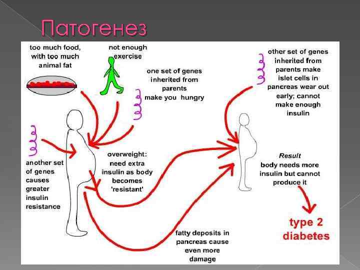 Патогенез 5 