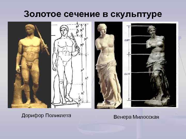 Золотое сечение в скульптуре Дорифор Поликлета Венера Милосская 
