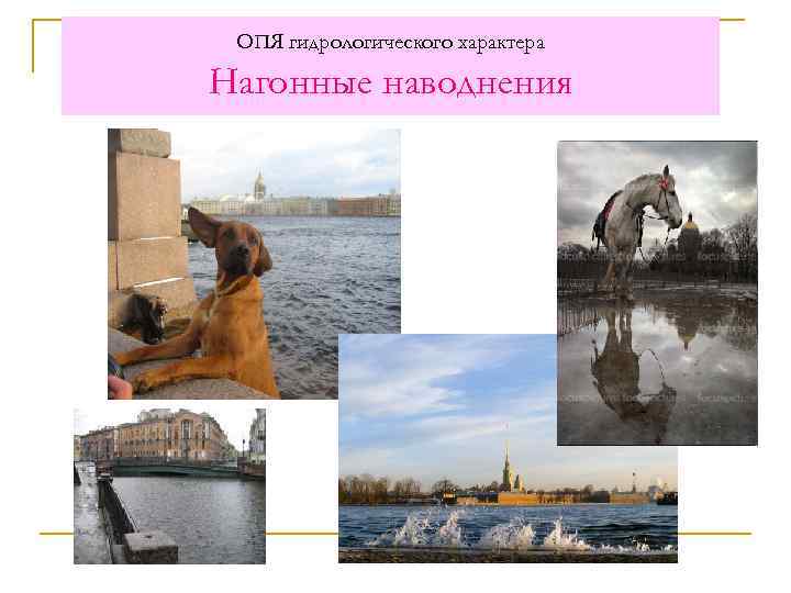 ОПЯ гидрологического характера Нагонные наводнения 