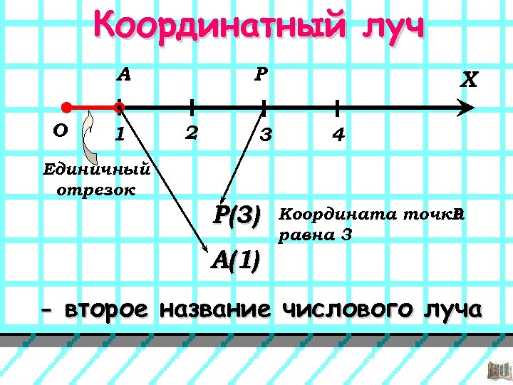 Отрезок координатного луча на е. Что такое единичный отрезок на координатном Луче. Отрезок координатного луча. Координатный отрезок 5 класс. Названия точек для на координатном Луче.