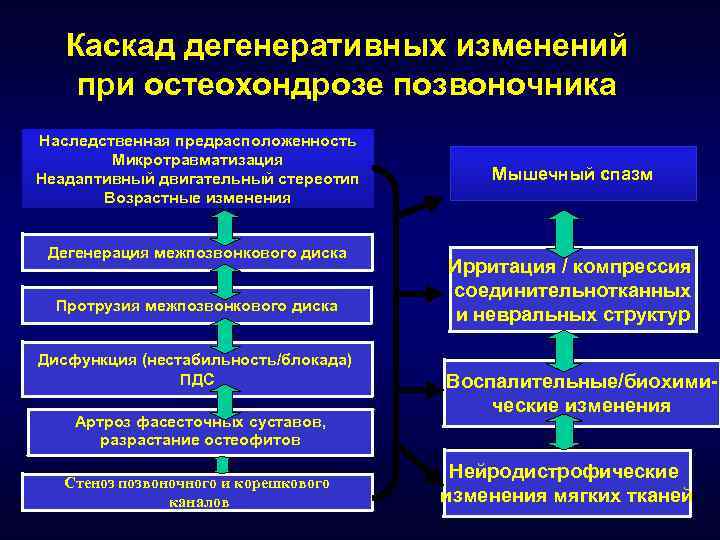 Каскад дегенеративных изменений при остеохондрозе позвоночника Наследственная предрасположенность Микротравматизация Неадаптивный двигательный стереотип Возрастные изменения