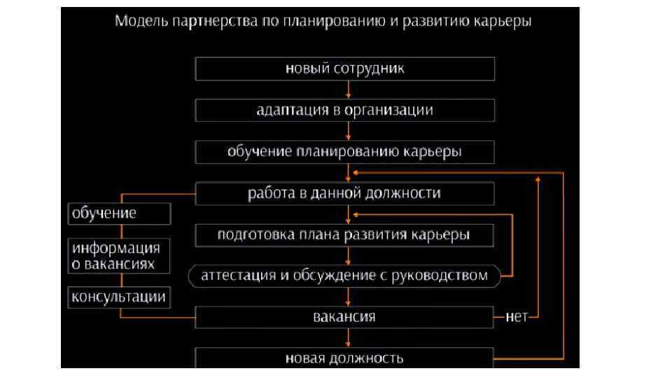 Варианты развития карьеры. Модель партнерства по планированию и развитию карьеры. План развития карьеры. Планирование деловой карьеры. Карьерограмма. Карьерограмма составление на повар.