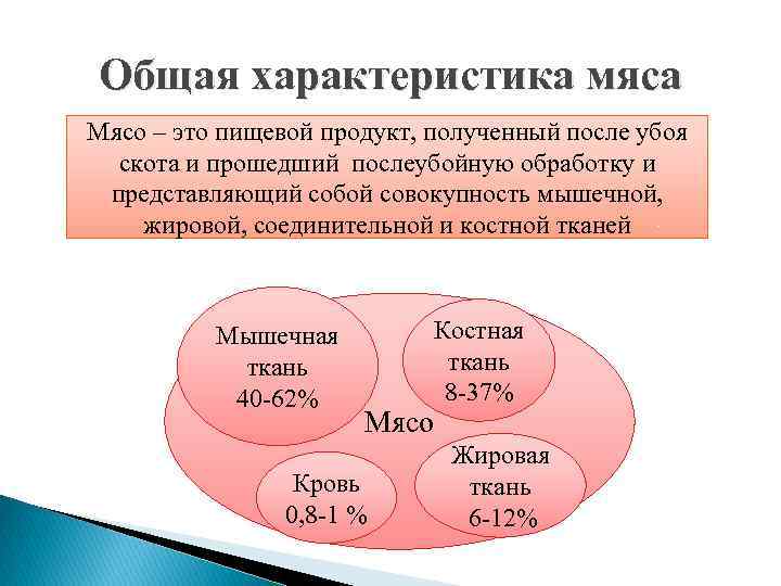 Общая характеристика мяса Мясо – это пищевой продукт, полученный после убоя скота и прошедший