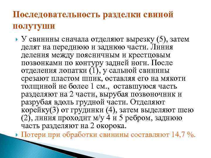 Последовательность разделки свиной полутуши У свинины сначала отделяют вырезку (5), затем делят на переднюю