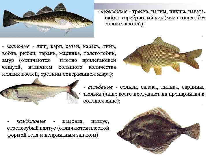 - тресковые - треска, налим, пикша, навага, сайда, серебристый хек (мясо тощее, без мелких