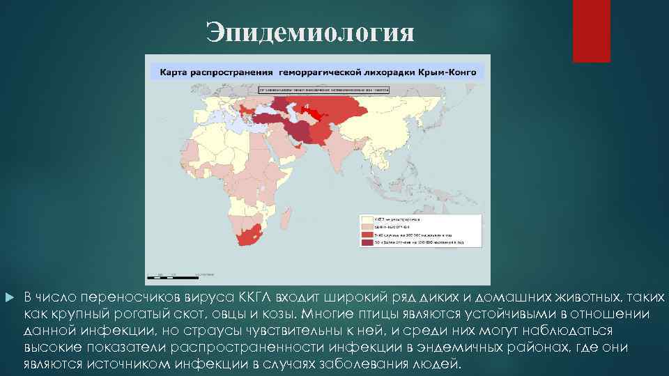 Крымская лихорадка презентация