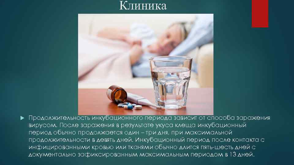 Клиника Продолжительность инкубационного периода зависит от способа заражения вирусом. После заражения в результате укуса
